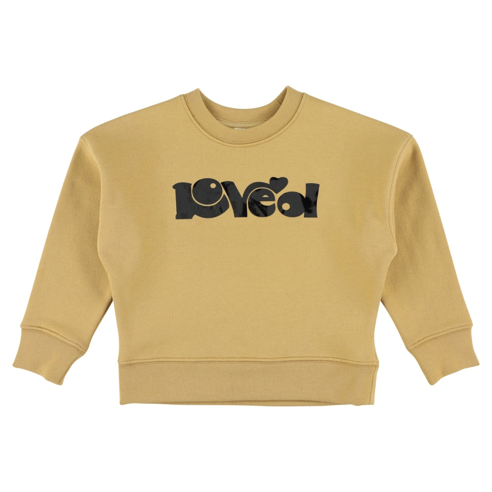 sweater loved sweat camel simple